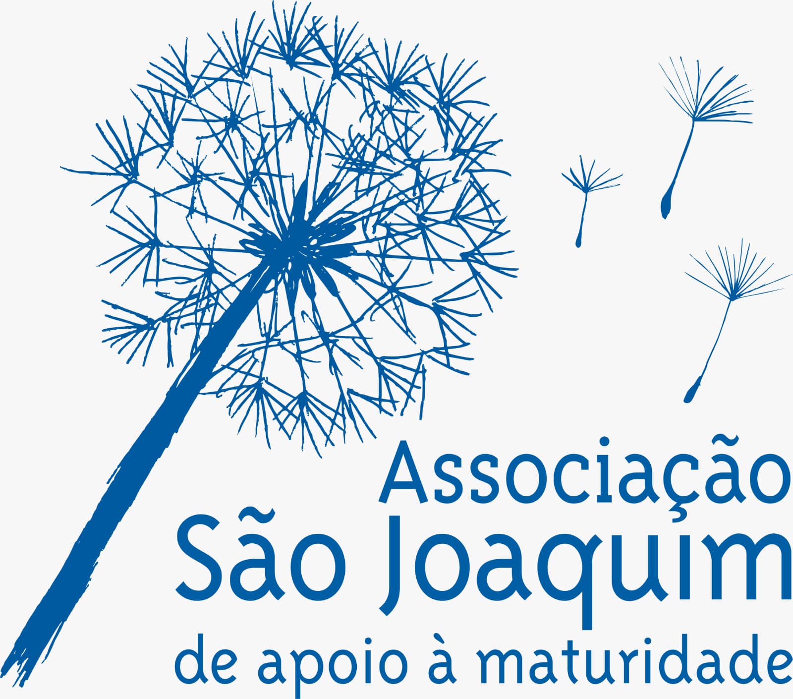 Logo Associação São Joaquim