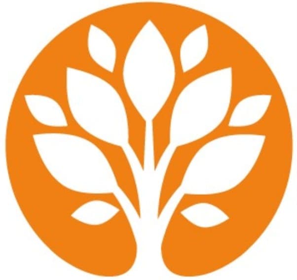 Logo Dinheiro e Longevidade